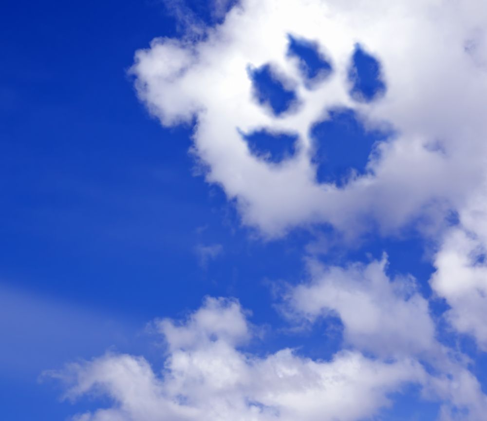 The Gossip Column, March 5, 2021